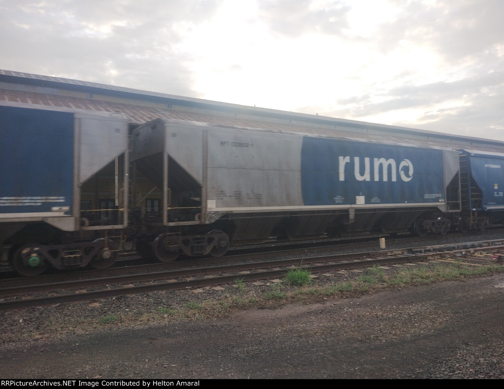 RUMO HPT-032652-1